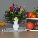 魏瑟里茨河畔膳食公寓 德累斯顿